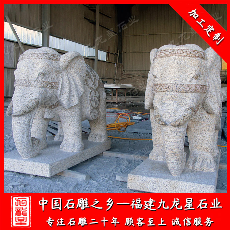 1627292189988559.jpg 大象 (55)